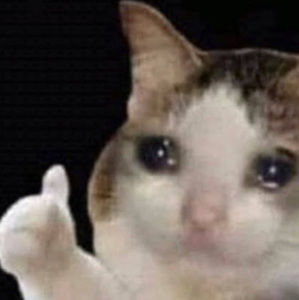 Meet your Posher, Ava